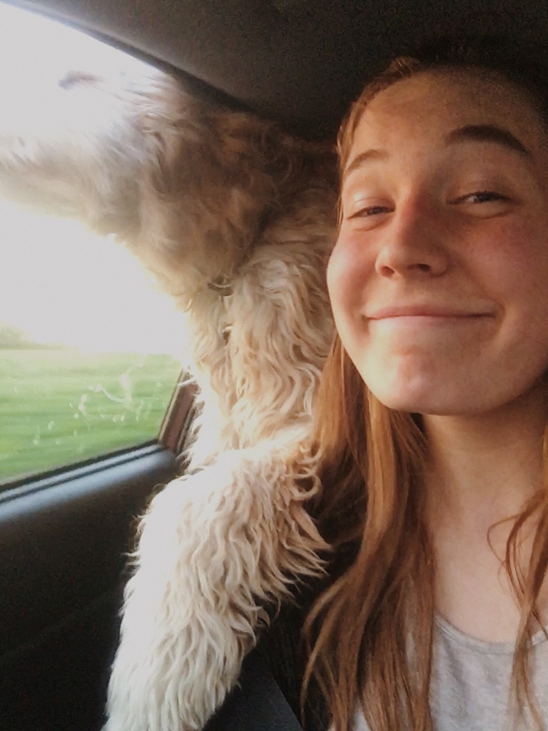 Girl and Labradoodle in Car